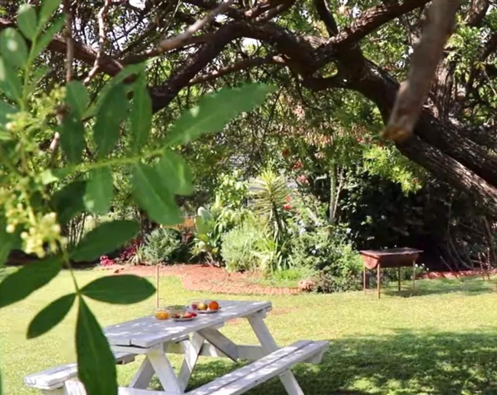 Choice Backpackers Lodge Bulawayo Εξωτερικό φωτογραφία